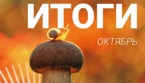 Итоги октября